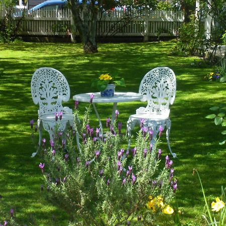 The Saddlery Bed & Breakfast Greytown Exterior photo